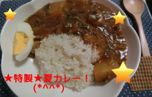 ６月カレー２０